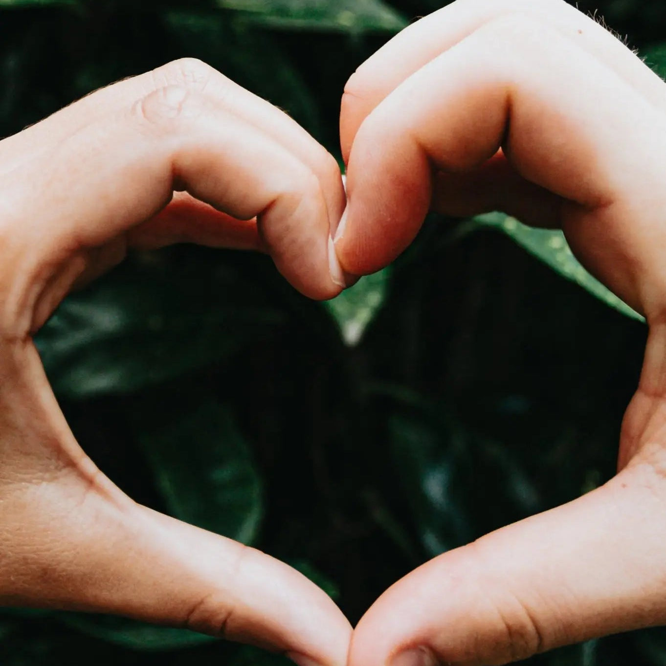 cadeaubonnen Sparcle.shop